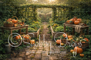 Pumpkin Garden Fabric Backdrop
