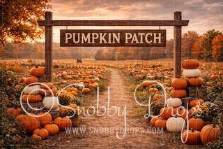 Pumpkin Patch Fabric Backdrop