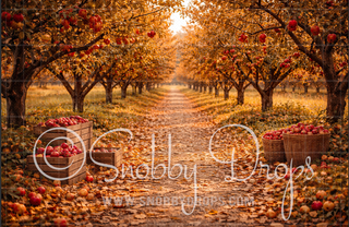 Fall Apple Orchard Fabric Backdrop