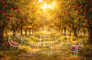 Apple Orchard Back to School Fabric Backdrop