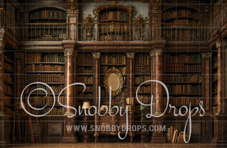 The Beast's Library Book Shelves Fabric Backdrop