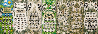 Custom Zebra Door