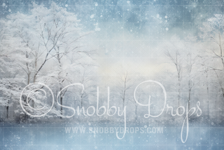 A Soft Winter Fabric Backdrop-Fabric Photography Backdrop-Snobby Drops Fabric Backdrops for Photography, Exclusive Designs by Tara Mapes Photography, Enchanted Eye Creations by Tara Mapes, photography backgrounds, photography backdrops, fast shipping, US backdrops, cheap photography backdrops