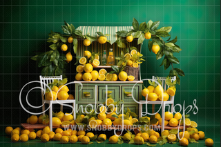 All Natural Lemonade Stand Fabric Backdrop-Fabric Photography Backdrop-Snobby Drops Fabric Backdrops for Photography, Exclusive Designs by Tara Mapes Photography, Enchanted Eye Creations by Tara Mapes, photography backgrounds, photography backdrops, fast shipping, US backdrops, cheap photography backdrops