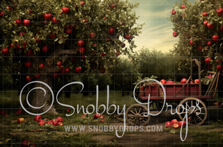 Apple Orchard Fabric Backdrop-Fabric Photography Backdrop-Snobby Drops Fabric Backdrops for Photography, Exclusive Designs by Tara Mapes Photography, Enchanted Eye Creations by Tara Mapes, photography backgrounds, photography backdrops, fast shipping, US backdrops, cheap photography backdrops