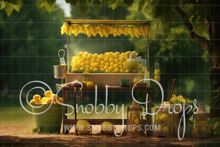 Au Natural Lemonade Stand Fabric Backdrop-Fabric Photography Backdrop-Snobby Drops Fabric Backdrops for Photography, Exclusive Designs by Tara Mapes Photography, Enchanted Eye Creations by Tara Mapes, photography backgrounds, photography backdrops, fast shipping, US backdrops, cheap photography backdrops