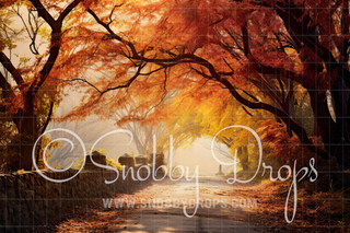 Autumn Fall Path Fabric Backdrop-Fabric Photography Backdrop-Snobby Drops Fabric Backdrops for Photography, Exclusive Designs by Tara Mapes Photography, Enchanted Eye Creations by Tara Mapes, photography backgrounds, photography backdrops, fast shipping, US backdrops, cheap photography backdrops