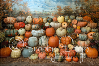 Autumn Pumpkin Wall Fabric Backdrop-Fabric Photography Backdrop-Snobby Drops Fabric Backdrops for Photography, Exclusive Designs by Tara Mapes Photography, Enchanted Eye Creations by Tara Mapes, photography backgrounds, photography backdrops, fast shipping, US backdrops, cheap photography backdrops