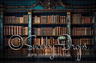 Belle's Books Library Book Shelves Fabric Backdrop-Fabric Photography Backdrop-Snobby Drops Fabric Backdrops for Photography, Exclusive Designs by Tara Mapes Photography, Enchanted Eye Creations by Tara Mapes, photography backgrounds, photography backdrops, fast shipping, US backdrops, cheap photography backdrops