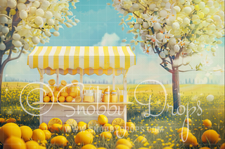 Bright Lemonade Stand Fabric Backdrop-Fabric Photography Backdrop-Snobby Drops Fabric Backdrops for Photography, Exclusive Designs by Tara Mapes Photography, Enchanted Eye Creations by Tara Mapes, photography backgrounds, photography backdrops, fast shipping, US backdrops, cheap photography backdrops