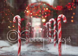 Candy Cane Alley Fabric Backdrop-Fabric Photography Backdrop-Snobby Drops Fabric Backdrops for Photography, Exclusive Designs by Tara Mapes Photography, Enchanted Eye Creations by Tara Mapes, photography backgrounds, photography backdrops, fast shipping, US backdrops, cheap photography backdrops