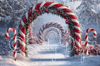 Candy Cane Arch Fabric Backdrop-Fabric Photography Backdrop-Snobby Drops Fabric Backdrops for Photography, Exclusive Designs by Tara Mapes Photography, Enchanted Eye Creations by Tara Mapes, photography backgrounds, photography backdrops, fast shipping, US backdrops, cheap photography backdrops