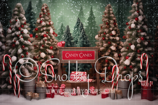 Candy Cane Pines Fabric Backdrop-Fabric Photography Backdrop-Snobby Drops Fabric Backdrops for Photography, Exclusive Designs by Tara Mapes Photography, Enchanted Eye Creations by Tara Mapes, photography backgrounds, photography backdrops, fast shipping, US backdrops, cheap photography backdrops