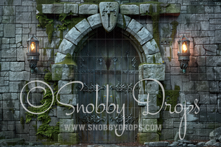Castle Door Wizard Medieval Fabric Backdrop-Fabric Photography Backdrop-Snobby Drops Fabric Backdrops for Photography, Exclusive Designs by Tara Mapes Photography, Enchanted Eye Creations by Tara Mapes, photography backgrounds, photography backdrops, fast shipping, US backdrops, cheap photography backdrops
