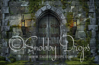 Castle Medieval Fabric Backdrop-Fabric Photography Backdrop-Snobby Drops Fabric Backdrops for Photography, Exclusive Designs by Tara Mapes Photography, Enchanted Eye Creations by Tara Mapes, photography backgrounds, photography backdrops, fast shipping, US backdrops, cheap photography backdrops