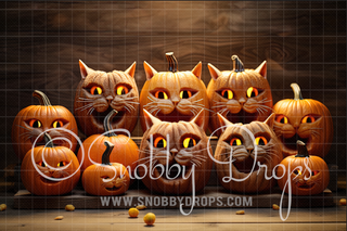 Cat-O-Lanterns Jackolanterns Halloween Pet Pumpkins Fabric Backdrop-Fabric Photography Backdrop-Snobby Drops Fabric Backdrops for Photography, Exclusive Designs by Tara Mapes Photography, Enchanted Eye Creations by Tara Mapes, photography backgrounds, photography backdrops, fast shipping, US backdrops, cheap photography backdrops