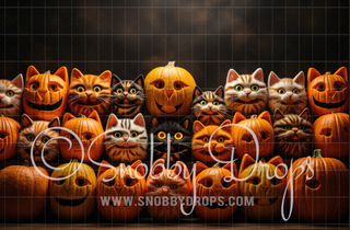 Cat-O-Lanterns Pumpkins Halloween Pet Pumpkins Fabric Backdrop-Fabric Photography Backdrop-Snobby Drops Fabric Backdrops for Photography, Exclusive Designs by Tara Mapes Photography, Enchanted Eye Creations by Tara Mapes, photography backgrounds, photography backdrops, fast shipping, US backdrops, cheap photography backdrops