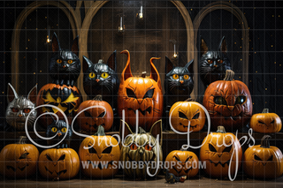 Cat Pumpkins Halloween Pet Fabric Backdrop-Fabric Photography Backdrop-Snobby Drops Fabric Backdrops for Photography, Exclusive Designs by Tara Mapes Photography, Enchanted Eye Creations by Tara Mapes, photography backgrounds, photography backdrops, fast shipping, US backdrops, cheap photography backdrops