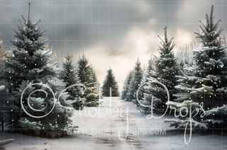 Christmas Tree Farm Fabric Backdrop-Fabric Photography Backdrop-Snobby Drops Fabric Backdrops for Photography, Exclusive Designs by Tara Mapes Photography, Enchanted Eye Creations by Tara Mapes, photography backgrounds, photography backdrops, fast shipping, US backdrops, cheap photography backdrops