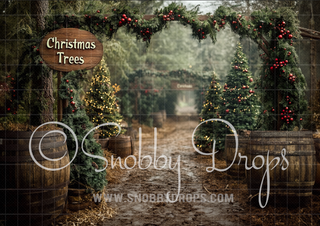 Christmas Tree Farm Path with Barrels Fabric Backdrop-Fabric Photography Backdrop-Snobby Drops Fabric Backdrops for Photography, Exclusive Designs by Tara Mapes Photography, Enchanted Eye Creations by Tara Mapes, photography backgrounds, photography backdrops, fast shipping, US backdrops, cheap photography backdrops