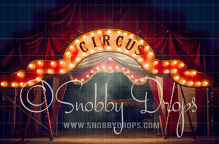 Circus Lights Tent Fabric Backdrop-Fabric Photography Backdrop-Snobby Drops Fabric Backdrops for Photography, Exclusive Designs by Tara Mapes Photography, Enchanted Eye Creations by Tara Mapes, photography backgrounds, photography backdrops, fast shipping, US backdrops, cheap photography backdrops
