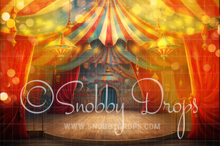 Circus Tent Stage Fabric Backdrop-Fabric Photography Backdrop-Snobby Drops Fabric Backdrops for Photography, Exclusive Designs by Tara Mapes Photography, Enchanted Eye Creations by Tara Mapes, photography backgrounds, photography backdrops, fast shipping, US backdrops, cheap photography backdrops