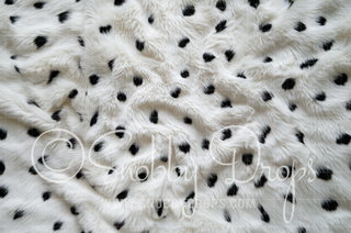 Cruel Ella Dalmatian Fur Fabric Backdrop-Fabric Photography Backdrop-Snobby Drops Fabric Backdrops for Photography, Exclusive Designs by Tara Mapes Photography, Enchanted Eye Creations by Tara Mapes, photography backgrounds, photography backdrops, fast shipping, US backdrops, cheap photography backdrops