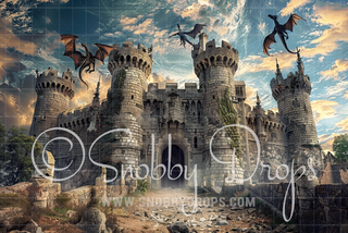 Dragon Castle Ruins Dragon Fabric Backdrop-Fabric Photography Backdrop-Snobby Drops Fabric Backdrops for Photography, Exclusive Designs by Tara Mapes Photography, Enchanted Eye Creations by Tara Mapes, photography backgrounds, photography backdrops, fast shipping, US backdrops, cheap photography backdrops