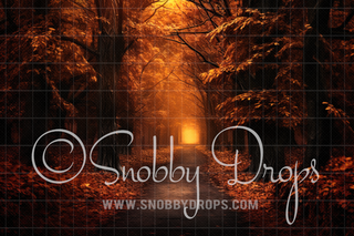 Dreamy Fall Path Fabric Backdrop-Fabric Photography Backdrop-Snobby Drops Fabric Backdrops for Photography, Exclusive Designs by Tara Mapes Photography, Enchanted Eye Creations by Tara Mapes, photography backgrounds, photography backdrops, fast shipping, US backdrops, cheap photography backdrops