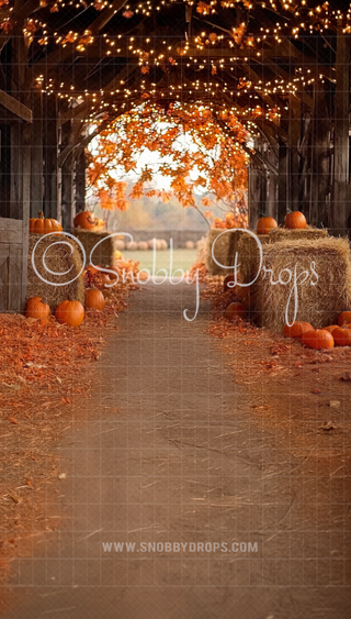 Fall Bokeh Barn Sweep FB42-Fabric Photography Sweep-Snobby Drops Fabric Backdrops for Photography, Exclusive Designs by Tara Mapes Photography, Enchanted Eye Creations by Tara Mapes, photography backgrounds, photography backdrops, fast shipping, US backdrops, cheap photography backdrops