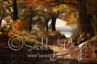 Fall Path Fabric Backdrop-Fabric Photography Backdrop-Snobby Drops Fabric Backdrops for Photography, Exclusive Designs by Tara Mapes Photography, Enchanted Eye Creations by Tara Mapes, photography backgrounds, photography backdrops, fast shipping, US backdrops, cheap photography backdrops