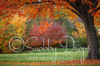 Fall Tree in Park Fabric Backdrop-Fabric Photography Backdrop-Snobby Drops Fabric Backdrops for Photography, Exclusive Designs by Tara Mapes Photography, Enchanted Eye Creations by Tara Mapes, photography backgrounds, photography backdrops, fast shipping, US backdrops, cheap photography backdrops