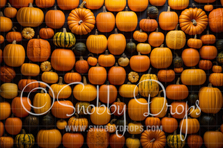 Fall Wall Pumpkin Wall Halloween Fabric Backdrop-Fabric Photography Backdrop-Snobby Drops Fabric Backdrops for Photography, Exclusive Designs by Tara Mapes Photography, Enchanted Eye Creations by Tara Mapes, photography backgrounds, photography backdrops, fast shipping, US backdrops, cheap photography backdrops