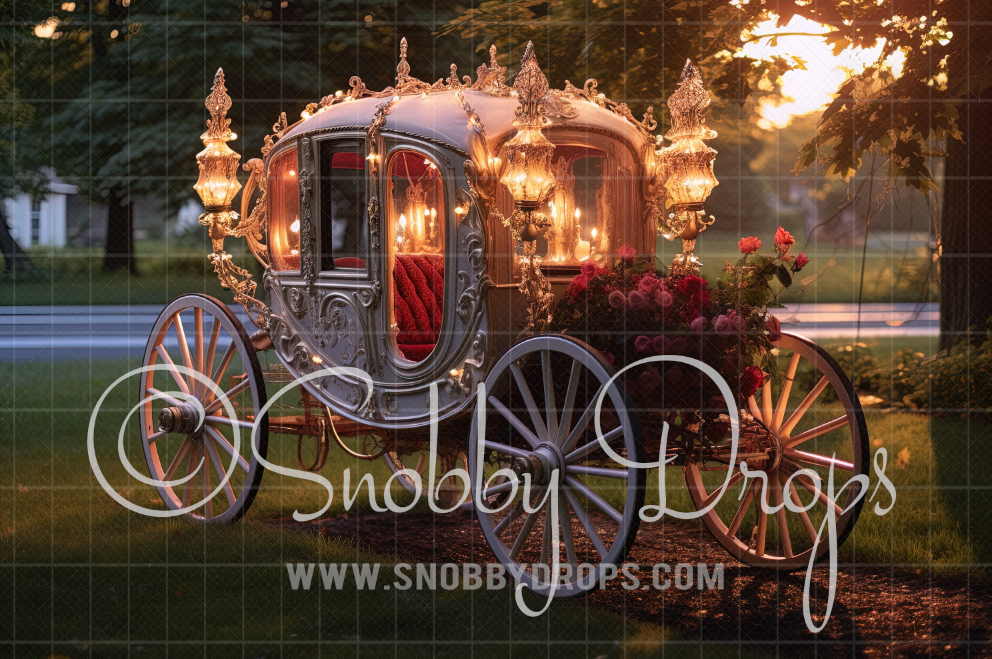 Fantasy Royal Princess Carriage Fabric Backdrop