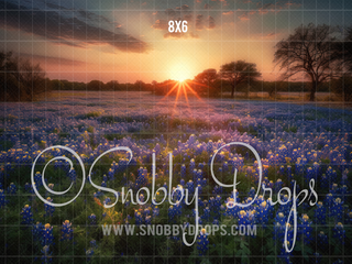 Field of Blue Bonnets Fabric Backdrop-Fabric Photography Backdrop-Snobby Drops Fabric Backdrops for Photography, Exclusive Designs by Tara Mapes Photography, Enchanted Eye Creations by Tara Mapes, photography backgrounds, photography backdrops, fast shipping, US backdrops, cheap photography backdrops