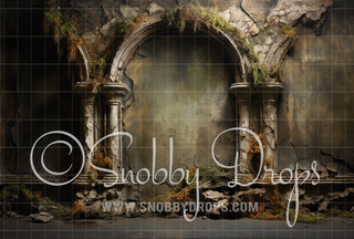 Fine Art Renaissance Ruins Room Fabric Backdrop-Fabric Photography Backdrop-Snobby Drops Fabric Backdrops for Photography, Exclusive Designs by Tara Mapes Photography, Enchanted Eye Creations by Tara Mapes, photography backgrounds, photography backdrops, fast shipping, US backdrops, cheap photography backdrops