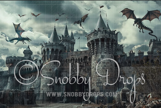 Flying Dragon Castle Fabric Backdrop-Fabric Photography Backdrop-Snobby Drops Fabric Backdrops for Photography, Exclusive Designs by Tara Mapes Photography, Enchanted Eye Creations by Tara Mapes, photography backgrounds, photography backdrops, fast shipping, US backdrops, cheap photography backdrops