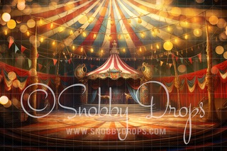 Glowing Circus Stage Fabric Backdrop-Fabric Photography Backdrop-Snobby Drops Fabric Backdrops for Photography, Exclusive Designs by Tara Mapes Photography, Enchanted Eye Creations by Tara Mapes, photography backgrounds, photography backdrops, fast shipping, US backdrops, cheap photography backdrops