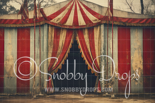 Grunge Circus Tent Fabric Backdrop-Fabric Photography Backdrop-Snobby Drops Fabric Backdrops for Photography, Exclusive Designs by Tara Mapes Photography, Enchanted Eye Creations by Tara Mapes, photography backgrounds, photography backdrops, fast shipping, US backdrops, cheap photography backdrops