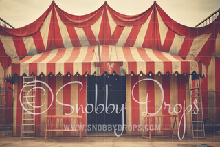 Grunge Vintage Circus Tent Fabric Backdrop-Fabric Photography Backdrop-Snobby Drops Fabric Backdrops for Photography, Exclusive Designs by Tara Mapes Photography, Enchanted Eye Creations by Tara Mapes, photography backgrounds, photography backdrops, fast shipping, US backdrops, cheap photography backdrops