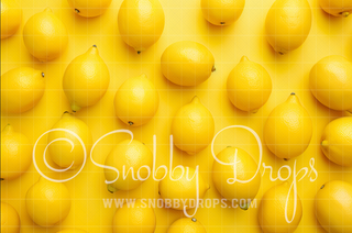 Lemon Drop Fabric Wee Drop-Fabric Photography Backdrop-Snobby Drops Fabric Backdrops for Photography, Exclusive Designs by Tara Mapes Photography, Enchanted Eye Creations by Tara Mapes, photography backgrounds, photography backdrops, fast shipping, US backdrops, cheap photography backdrops