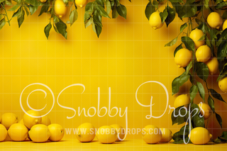 Lemon Fabric Backdrop-Fabric Photography Backdrop-Snobby Drops Fabric Backdrops for Photography, Exclusive Designs by Tara Mapes Photography, Enchanted Eye Creations by Tara Mapes, photography backgrounds, photography backdrops, fast shipping, US backdrops, cheap photography backdrops