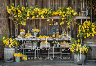 Lemon Market Fabric Backdrop-Fabric Photography Backdrop-Snobby Drops Fabric Backdrops for Photography, Exclusive Designs by Tara Mapes Photography, Enchanted Eye Creations by Tara Mapes, photography backgrounds, photography backdrops, fast shipping, US backdrops, cheap photography backdrops