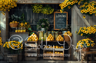 Lemonade Market Shop Fabric Backdrop-Fabric Photography Backdrop-Snobby Drops Fabric Backdrops for Photography, Exclusive Designs by Tara Mapes Photography, Enchanted Eye Creations by Tara Mapes, photography backgrounds, photography backdrops, fast shipping, US backdrops, cheap photography backdrops