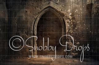 Medieval Castle Door Fabric Backdrop-Fabric Photography Backdrop-Snobby Drops Fabric Backdrops for Photography, Exclusive Designs by Tara Mapes Photography, Enchanted Eye Creations by Tara Mapes, photography backgrounds, photography backdrops, fast shipping, US backdrops, cheap photography backdrops