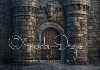 Medieval Castle Entrance Fabric Backdrop-Fabric Photography Backdrop-Snobby Drops Fabric Backdrops for Photography, Exclusive Designs by Tara Mapes Photography, Enchanted Eye Creations by Tara Mapes, photography backgrounds, photography backdrops, fast shipping, US backdrops, cheap photography backdrops