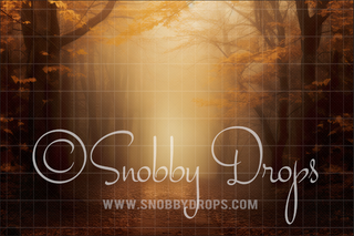 Misty Fall Path Fabric Backdrop-Fabric Photography Backdrop-Snobby Drops Fabric Backdrops for Photography, Exclusive Designs by Tara Mapes Photography, Enchanted Eye Creations by Tara Mapes, photography backgrounds, photography backdrops, fast shipping, US backdrops, cheap photography backdrops