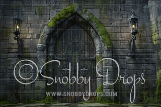 Mossy Castle Door Fabric Backdrop-Fabric Photography Backdrop-Snobby Drops Fabric Backdrops for Photography, Exclusive Designs by Tara Mapes Photography, Enchanted Eye Creations by Tara Mapes, photography backgrounds, photography backdrops, fast shipping, US backdrops, cheap photography backdrops