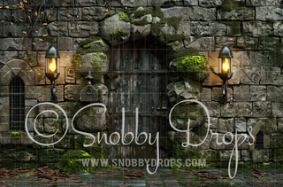 Old Wizard Castle Door Fabric Backdrop-Fabric Photography Backdrop-Snobby Drops Fabric Backdrops for Photography, Exclusive Designs by Tara Mapes Photography, Enchanted Eye Creations by Tara Mapes, photography backgrounds, photography backdrops, fast shipping, US backdrops, cheap photography backdrops