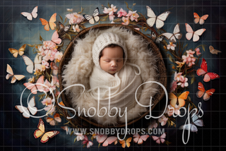 Painterly Butterfly Newborn Fabric Wee Drop-Fabric Photography Backdrop-Snobby Drops Fabric Backdrops for Photography, Exclusive Designs by Tara Mapes Photography, Enchanted Eye Creations by Tara Mapes, photography backgrounds, photography backdrops, fast shipping, US backdrops, cheap photography backdrops
